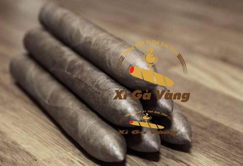 Xì gà lâu đời nhất thế giới - Mayan Sicars